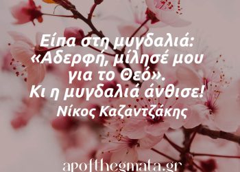 Είπα στη μυγδαλιά καζαντζακης αποφθεγμα