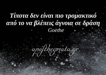 “Τίποτα δεν είναι πιο τρομακτικό από το να βλέπεις άγνοια σε δράση.” – Γκαίτε