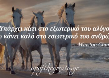 “Υπάρχει κάτι στο εξωτερικό του αλόγου που κάνει καλό στο εσωτερικό του ανθρώπου.” – Winston Churchill