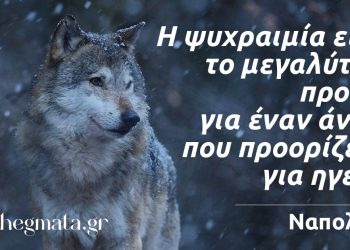 Η ψυχραιμία είναι το μεγαλύτερο προσόν για έναν άντρα που προορίζεται για ηγέτης αποφθέγματα Ναπολέων
