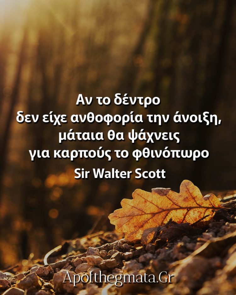 Αν το δέντρο δεν είχε ανθοφορία την άνοιξη, μάταια θα ψάχνεις για καρπούς το φθινόπωρο