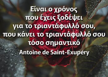Είναι ο χρόνος που έχεις ξοδέψει για το τριαντάφυλλό σου, που κάνει το τριαντάφυλλό σου τόσο σημαντικό αποφθέγματα μικρός πρίγκηπας