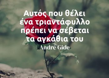 Αυτός που θέλει ένα τριαντάφυλλο πρέπει να σέβεται τα αγκάθια του - Αντρέ Ζιντ