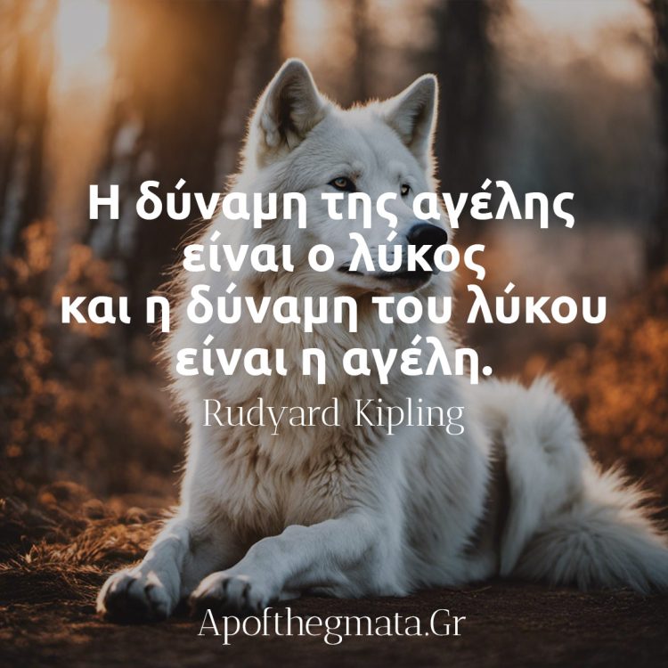 Η δύναμη της αγέλης είναι ο λύκος και η δύναμη του λύκου είναι η αγέλη - Rudyard Kipling