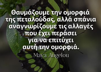 Θαυμάζουμε την ομορφιά της πεταλούδας, αλλά σπάνια αναγνωρίζουμε τις αλλαγές που έχει περάσει για να επιτύχει αυτή την ομορφιά
