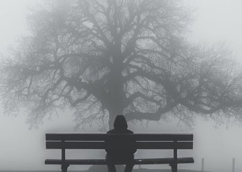 Τυμβωρύχος - Ανάλυση στίχων