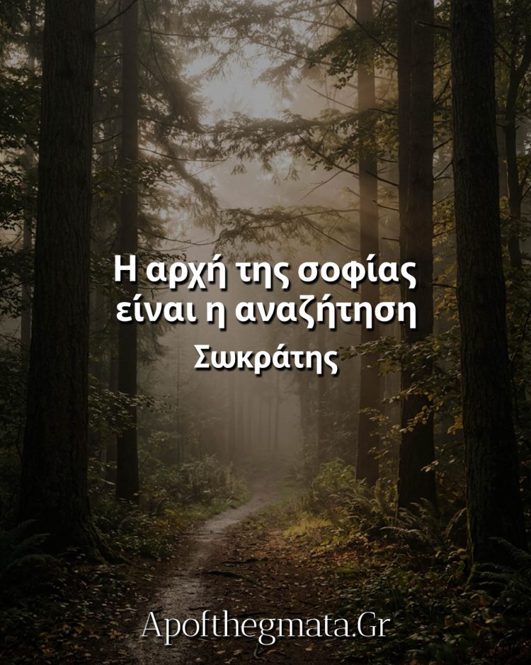 H αρχή της σοφίας είναι η αναζήτηση